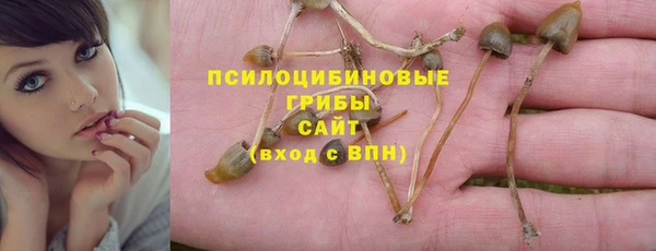 прущая мука Киреевск