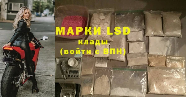 спайс Кодинск